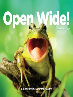cover image of Open Wide!